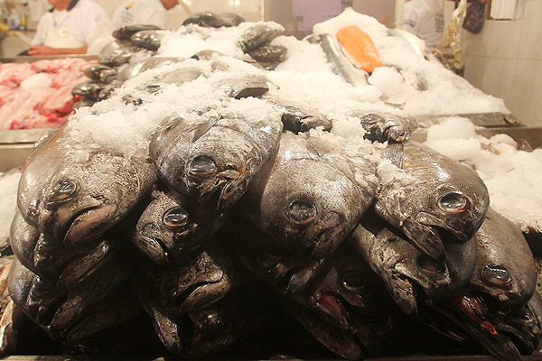Emol: Científicos chilenos crean producto natural que extiende la vida útil de pescados frescos